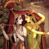 bhaveshtripathi