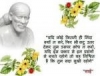 kalpeshcraj