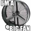 BigFanofIFS